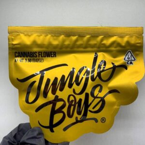 JUNGLE BOYS